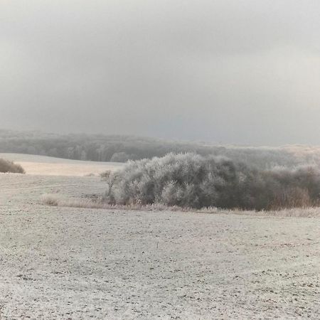 Ferienwohnung Uckermarkblick Ziehten Екстер'єр фото