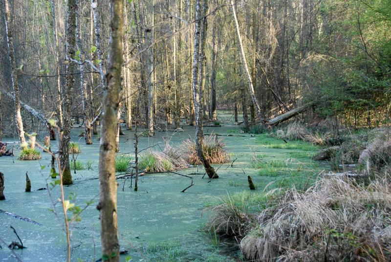 Ferienwohnung Uckermarkblick Ziehten Екстер'єр фото